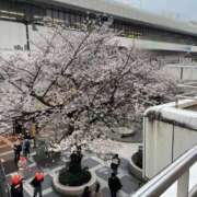 ヒメ日記 2026/04/01 13:01 投稿 水瀬 人妻楼 熊谷店