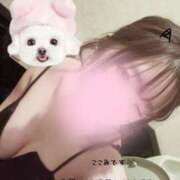 ここみ 今日もいるよ！ リアル難波店