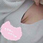 ヒメ日記 2025/12/14 10:59 投稿 ののか 香川高松ちゃんこ