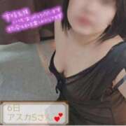 ヒメ日記 2026/03/29 17:39 投稿 ののか 香川高松ちゃんこ