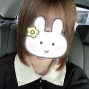 ヒメ日記 2025/11/22 12:41 投稿 妖精【フェアリー】 ピンクコレクション大阪