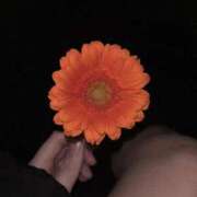 妖精【フェアリー】 🌼 ピンクコレクション大阪