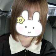 ヒメ日記 2025/11/22 12:34 投稿 妖精【フェアリー】 ピンクコレクション大阪キタ店