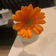 ヒメ日記 2025/12/02 17:02 投稿 妖精【フェアリー】 ピンクコレクション尼崎店