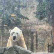 ヒメ日記 2025/11/14 23:33 投稿 常葉　まき リラクゼーションサロン　le Cocon～ルココン～