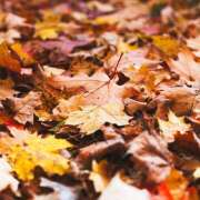 ほのか ありがとうございます♡ 花嫁気分福島店