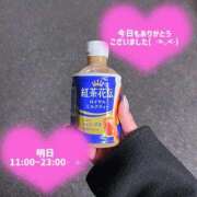 ヒメ日記 2025/11/22 21:54 投稿 つばき いざ候 別館