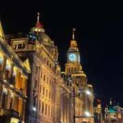 ヒメ日記 2025/11/23 13:44 投稿 つばき いざ候 別館