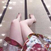 ヒメ日記 2025/11/23 23:54 投稿 つばき いざ候 別館