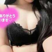 ヒメ日記 2025/11/24 12:54 投稿 つばき いざ候 別館