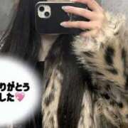 ヒメ日記 2025/11/30 00:54 投稿 つばき いざ候 別館