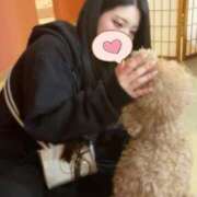 ヒメ日記 2025/12/08 23:22 投稿 つばき いざ候 別館