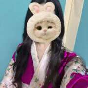 ヒメ日記 2025/12/14 11:04 投稿 つばき いざ候 別館