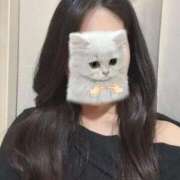 ヒメ日記 2025/12/14 23:14 投稿 つばき いざ候 別館