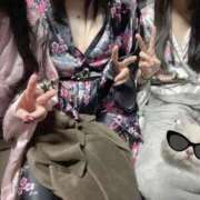 ヒメ日記 2025/12/28 00:14 投稿 つばき いざ候 別館