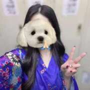 ヒメ日記 2026/01/01 15:04 投稿 つばき いざ候 別館