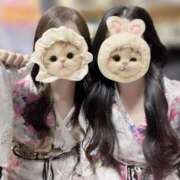 ヒメ日記 2026/01/08 23:14 投稿 つばき いざ候 別館