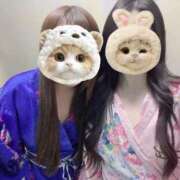 ヒメ日記 2026/01/15 12:01 投稿 つばき いざ候 別館