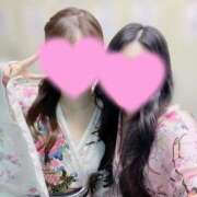 ヒメ日記 2026/01/24 02:04 投稿 つばき いざ候 別館