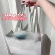 ヒメ日記 2026/02/14 08:34 投稿 つばき いざ候 別館