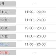 ヒメ日記 2026/02/24 00:34 投稿 つばき いざ候 別館