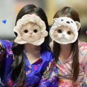 ヒメ日記 2026/03/10 23:49 投稿 つばき いざ候 別館