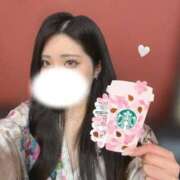 ヒメ日記 2026/03/11 23:33 投稿 つばき いざ候 別館