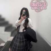 ヒメ日記 2026/03/18 15:14 投稿 つばき いざ候 別館