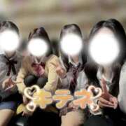 ヒメ日記 2026/04/09 17:07 投稿 つばき いざ候 別館