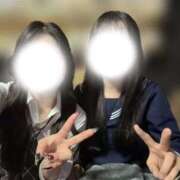 ヒメ日記 2026/04/14 14:54 投稿 つばき いざ候 別館