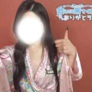 ヒメ日記 2026/04/24 23:03 投稿 つばき いざ候 別館