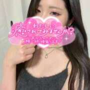 ヒメ日記 2026/04/28 07:04 投稿 つばき いざ候 別館