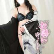 ヒメ日記 2026/04/28 11:02 投稿 つばき いざ候 別館