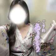 ヒメ日記 2026/04/29 11:04 投稿 つばき いざ候 別館