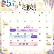 ヒメ日記 2026/05/01 08:14 投稿 つばき いざ候 別館