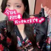 ヒメ日記 2026/05/12 16:37 投稿 つばき いざ候 別館