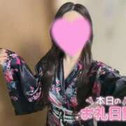 ヒメ日記 2026/05/13 10:27 投稿 つばき いざ候 別館