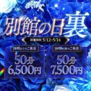 ヒメ日記 2026/05/14 07:17 投稿 つばき いざ候 別館