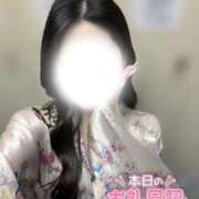 ヒメ日記 2026/05/15 08:07 投稿 つばき いざ候 別館