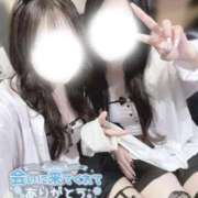 ヒメ日記 2026/05/19 23:47 投稿 つばき いざ候 別館