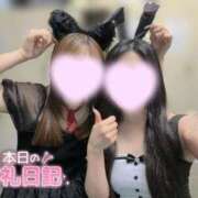 ヒメ日記 2026/05/20 07:47 投稿 つばき いざ候 別館