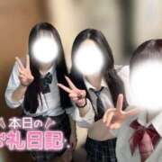 ヒメ日記 2026/05/21 08:17 投稿 つばき いざ候 別館