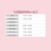 ヒメ日記 2026/05/25 14:37 投稿 つばき いざ候 別館