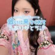 ヒメ日記 2026/06/03 10:18 投稿 つばき いざ候 別館