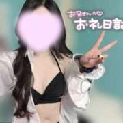 ヒメ日記 2026/07/09 13:23 投稿 つばき いざ候 別館