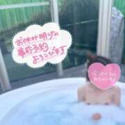 ヒメ日記 2026/10/11 20:45 投稿 せいら 夢幻（むげん）
