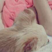 ヒメ日記 2025/11/13 15:30 投稿 夢咲　せいな ドMな奥様 京都店