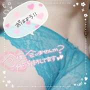 ヒメ日記 2025/12/10 08:12 投稿 こずえ エマニエル