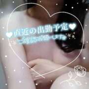 ヒメ日記 2025/12/16 08:12 投稿 こずえ エマニエル