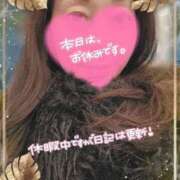 ヒメ日記 2025/12/18 17:23 投稿 こずえ エマニエル